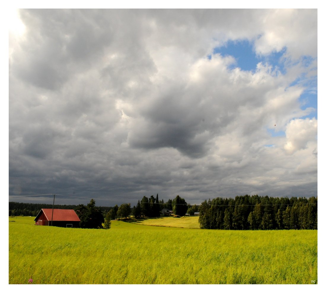 финляндия, лето, поле, D.G.