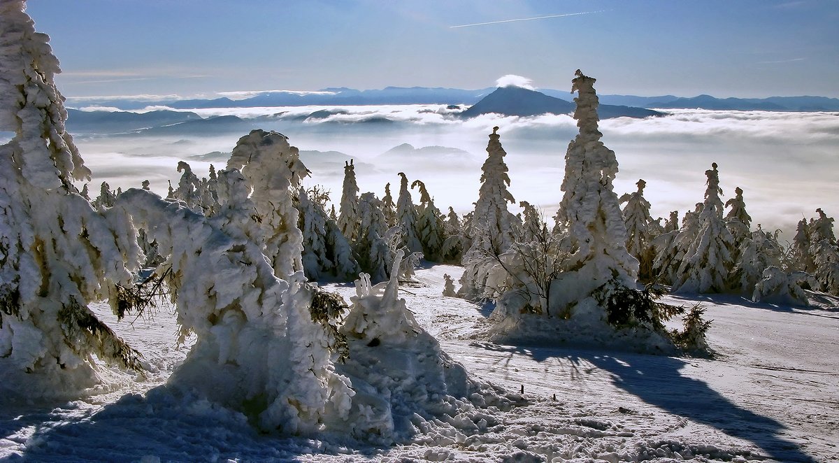зима, горы, елки, Vasylevskyy Vitaliy