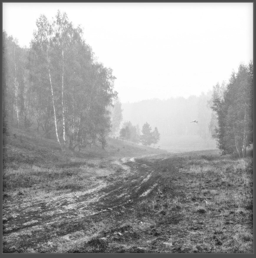 пейзаж, дорога, лес, туман, Александр Авилов