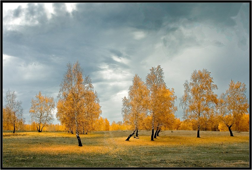 осень,жёлтый,оранжевый,ненастье,октябрь,сентябрь, Качурин Алексей
