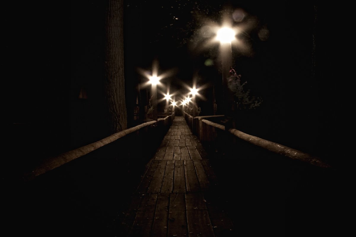 мост, фонарь, деревья, Максим Курышов