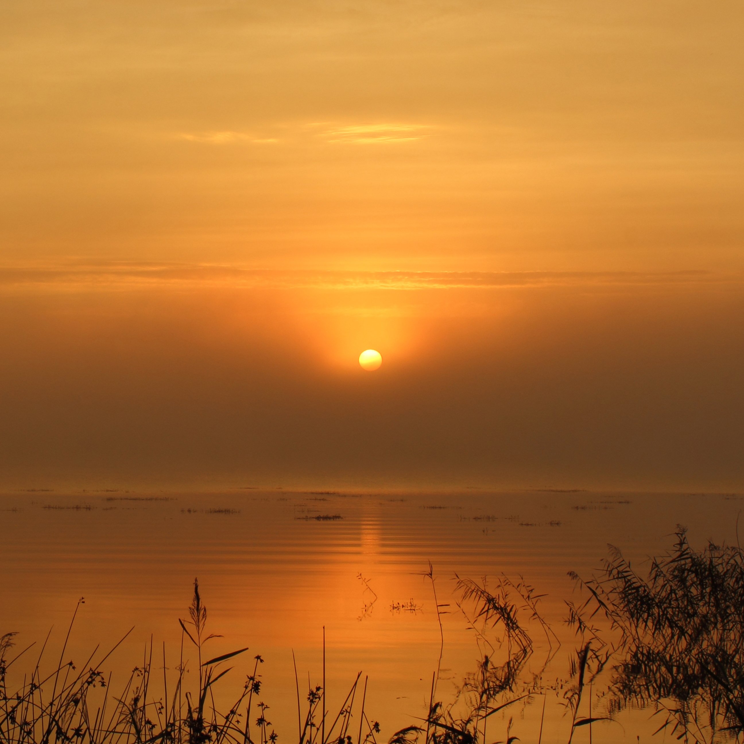 lake, mist, sunrise, Zenonas Mockus