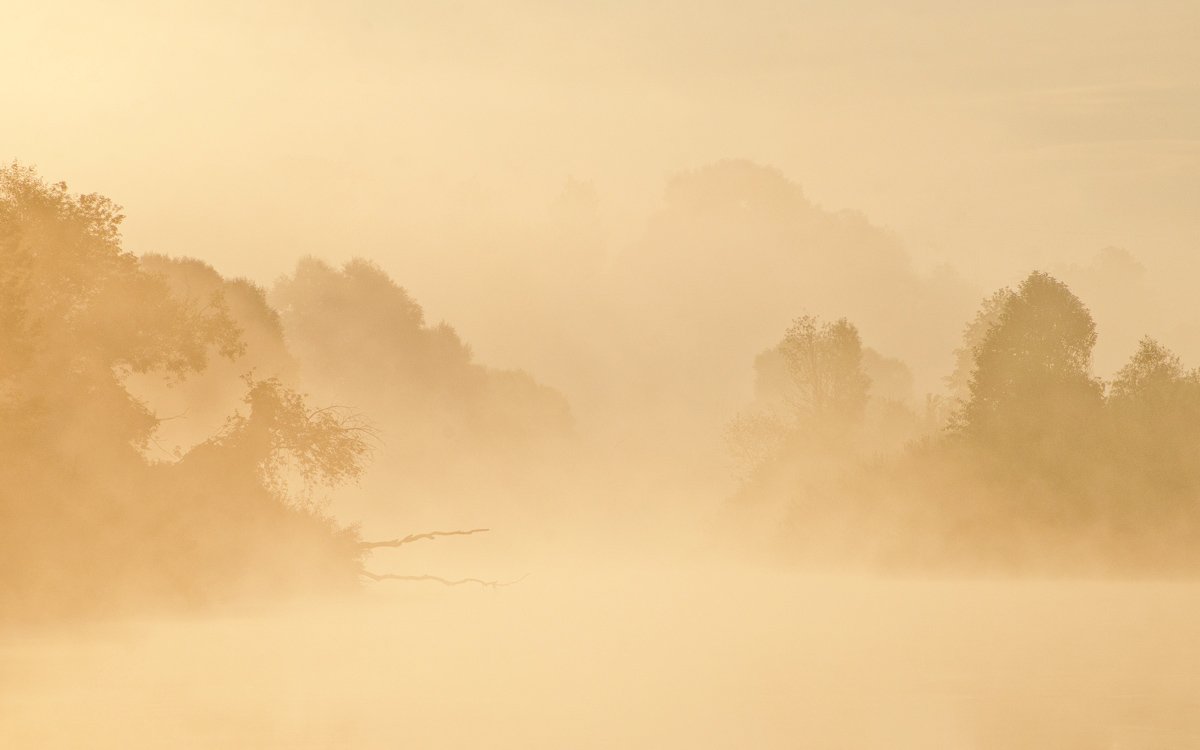утро рассвет река упа якшино туман пейзаж природа, Михаил Агеев