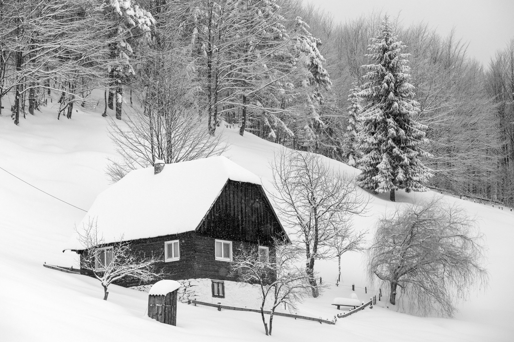 winter,house,trees,white,snow,landscape,nature,, Marius Turc