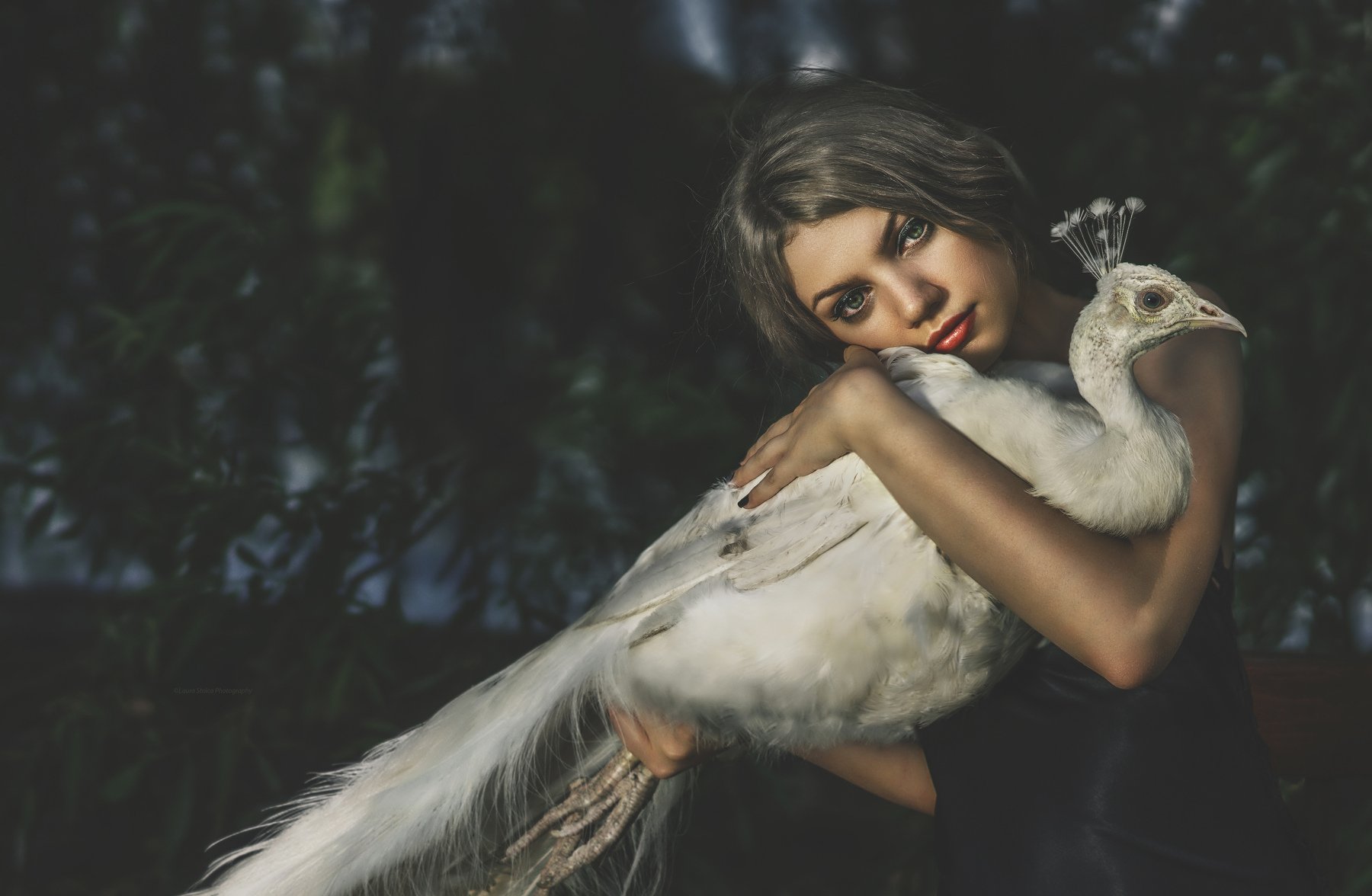 white peacock, girl, nature, Laura Stoica