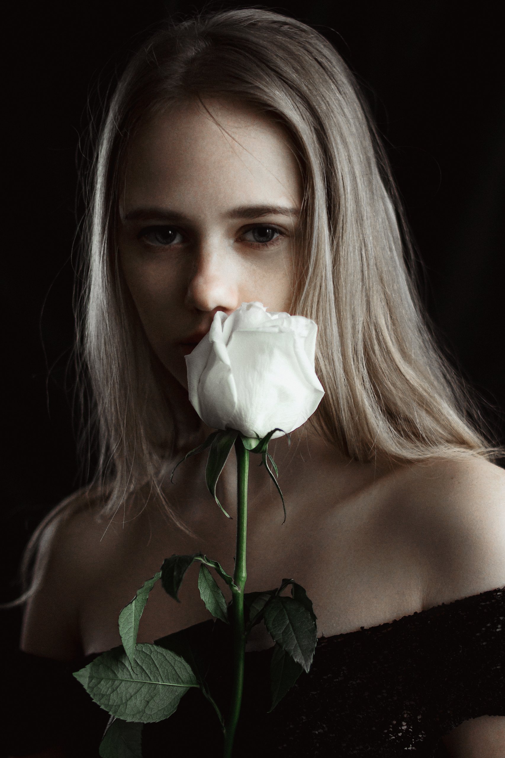 девушка, портрет, цветок, белая роза, свет, Иван Копченов