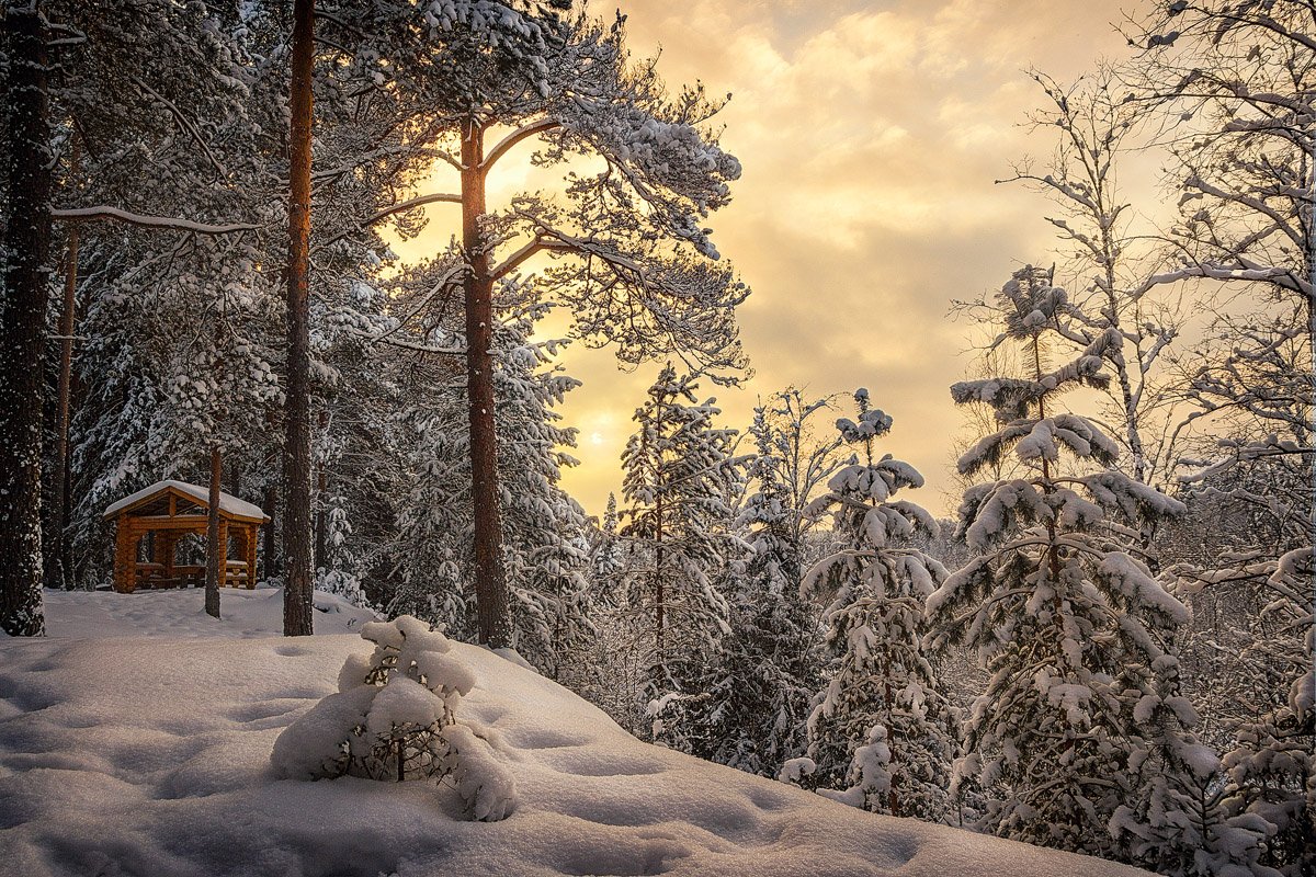 снег, лес, зима, закат, сугробы, небо, облака, деревья, Пушкарев Николай