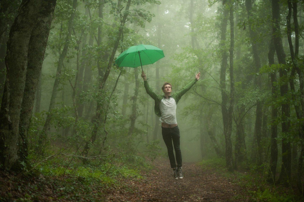 лес, туман, зонтик, аквапланирование, Вьюшкин Игорь