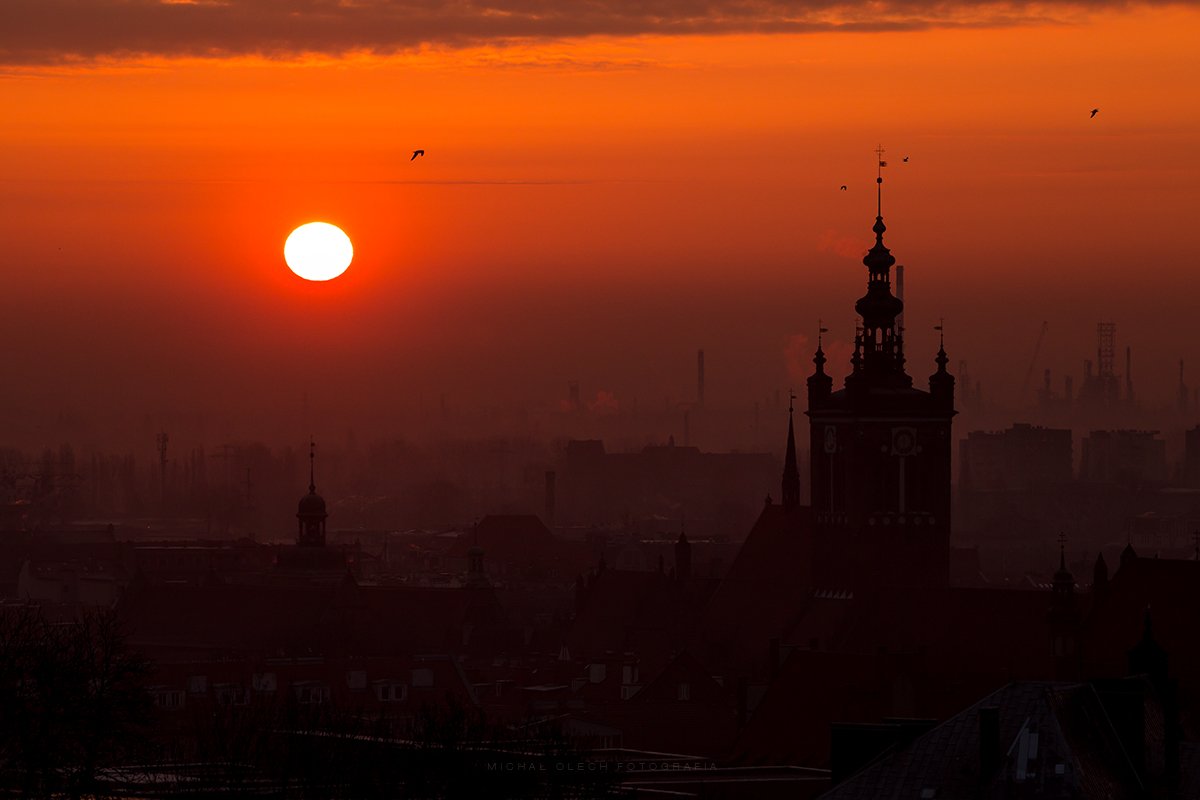 Gdansk, Poland, dawn, sunrise, birds, Гданьск, Польша, Michał Olech