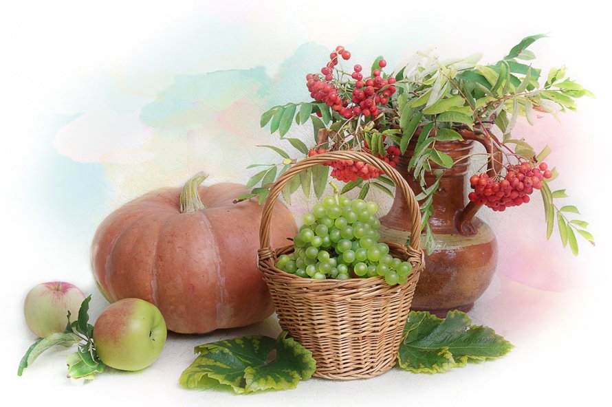 осень,яблоки,груши,виноград,натюрморт,вера павлухина ,, Вера Павлухина