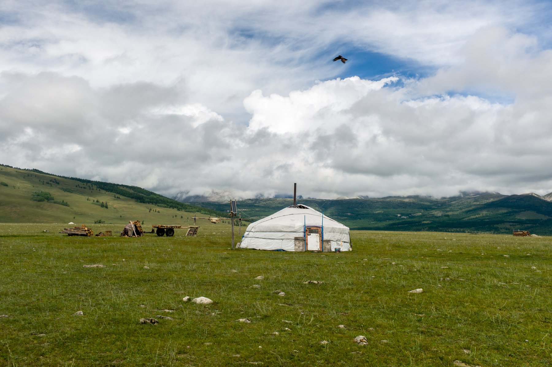 Монголия, Михаил Дронов