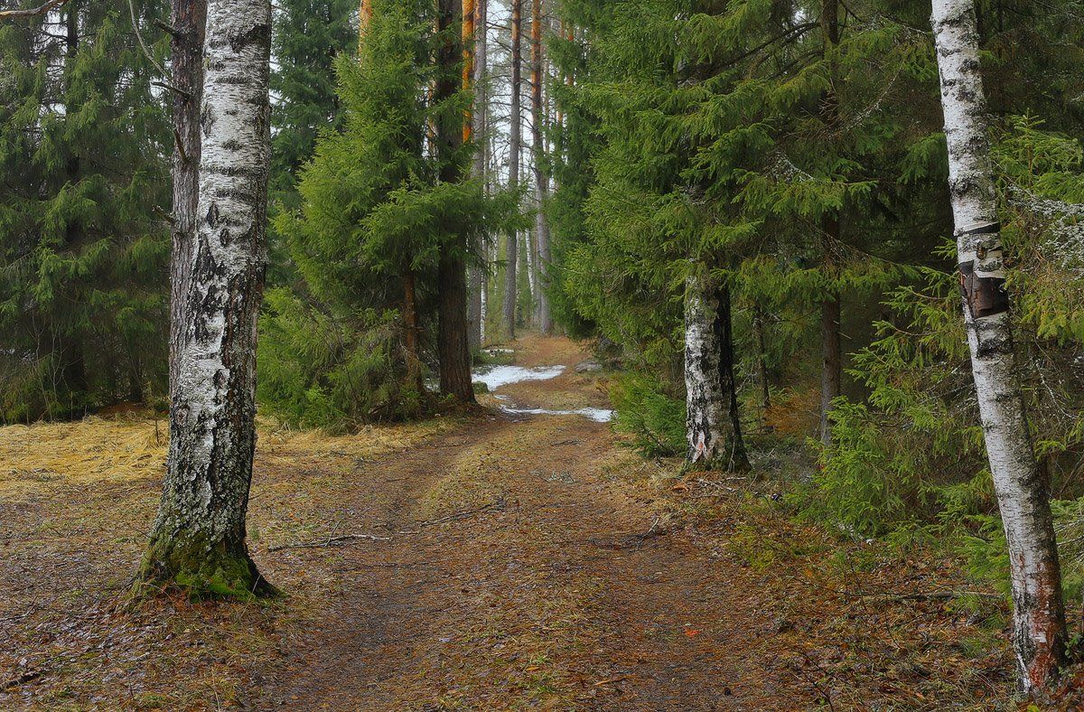 , Дмитрий Алексеев