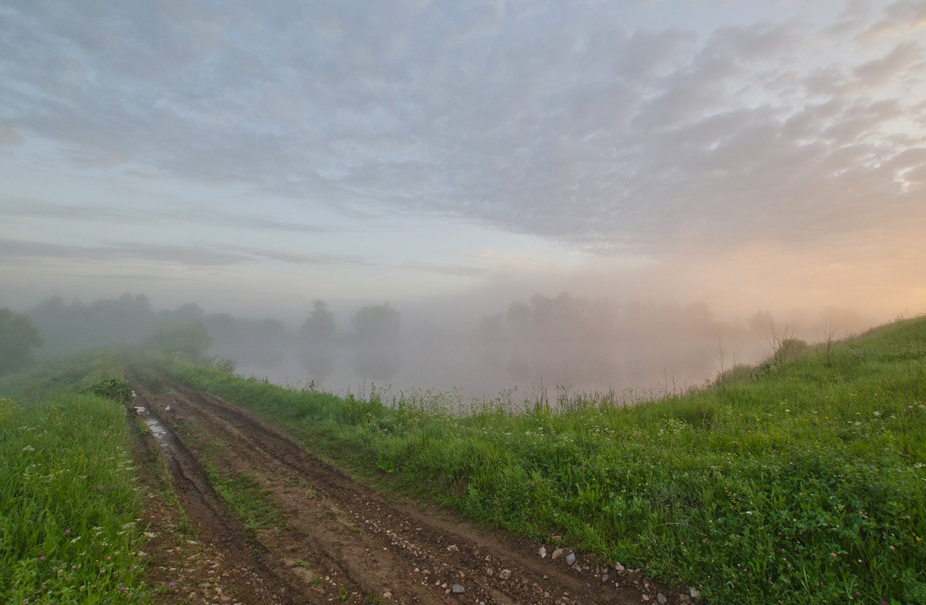 утро туман пруд дорога природа пейзаж, Михаил Агеев