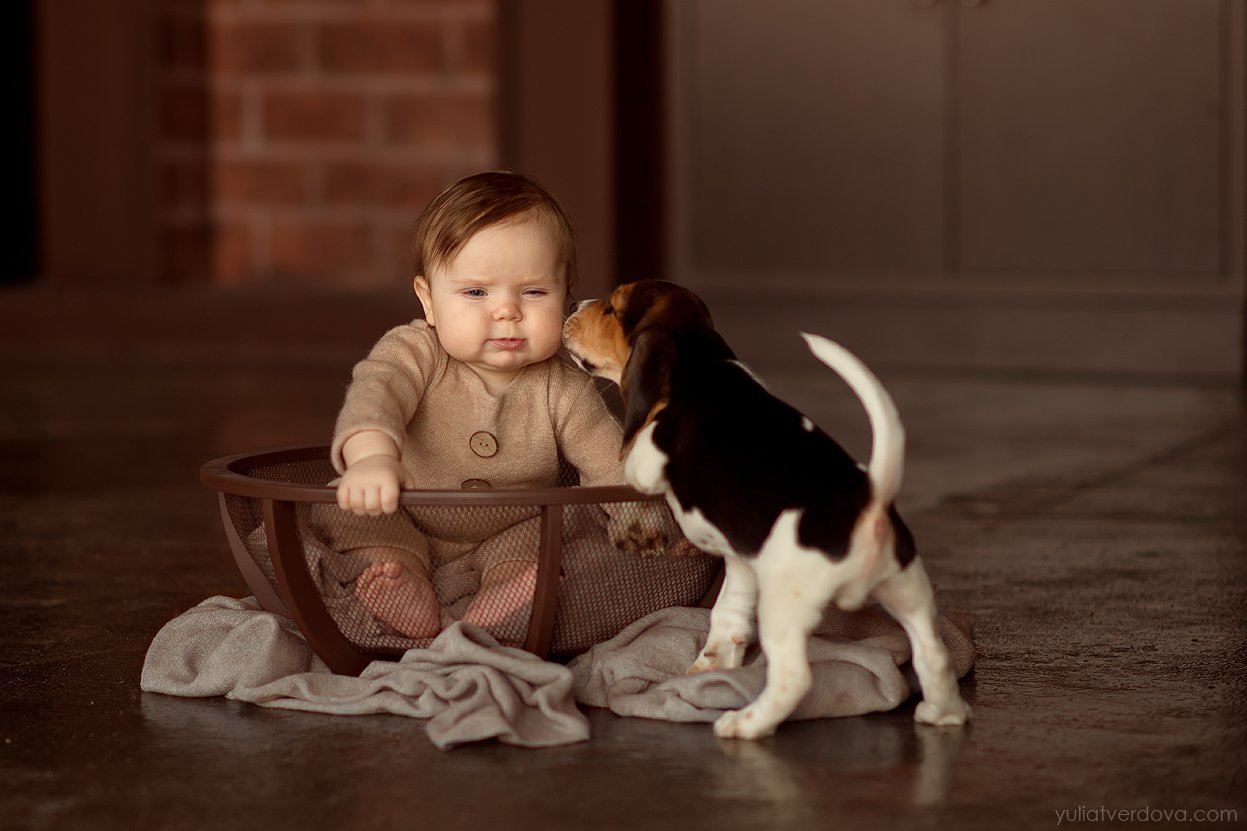Малыш девочка щенок , Юлия Твердова