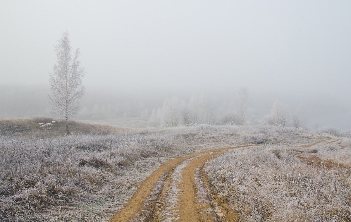 зима снег иней холод природа пейзаж архангельское, Михаил Агеев