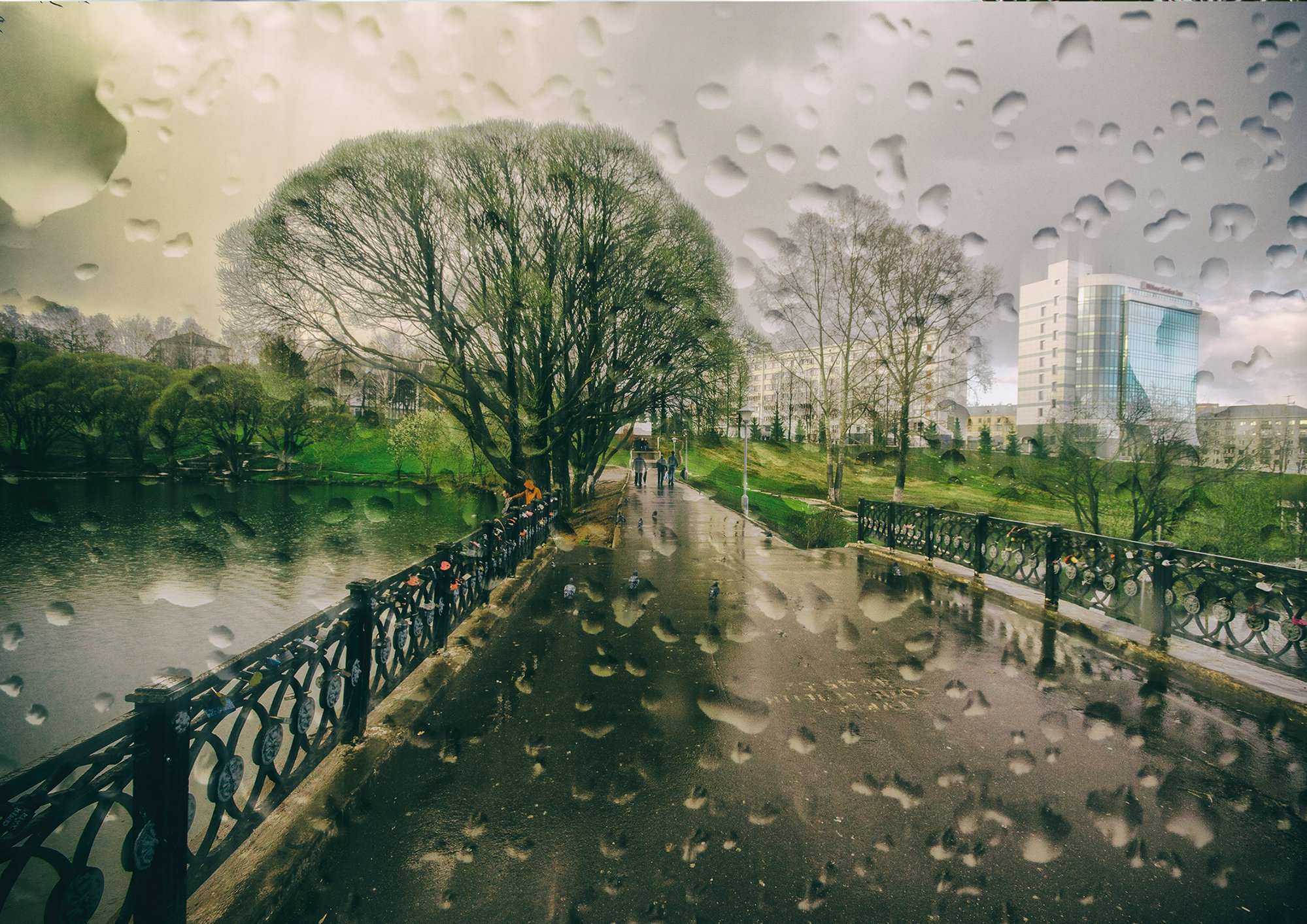 парк,дождь,погода ,киров ,вятка, Карепанов Евгений