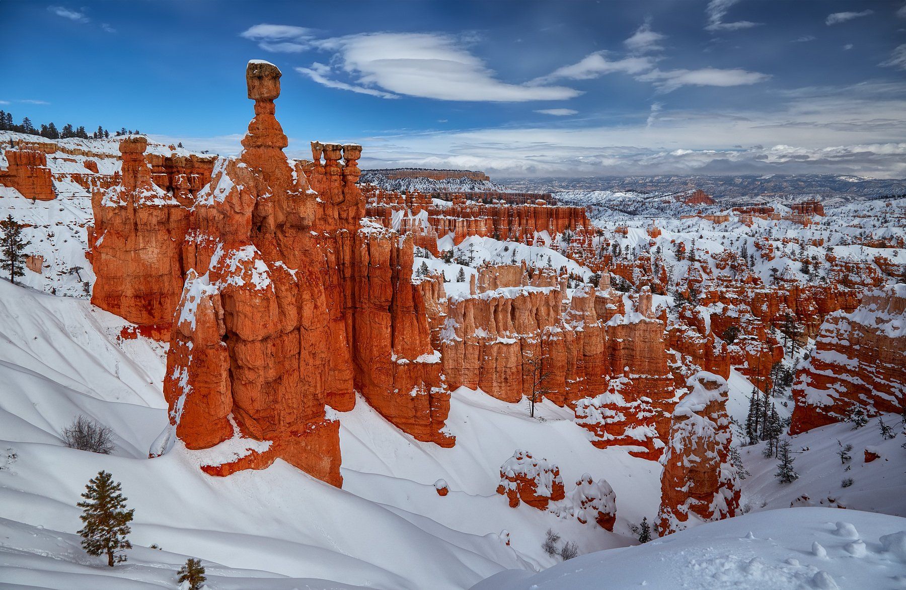 зима,снег,bryce canyon,пейзаж, Svetlana Popova