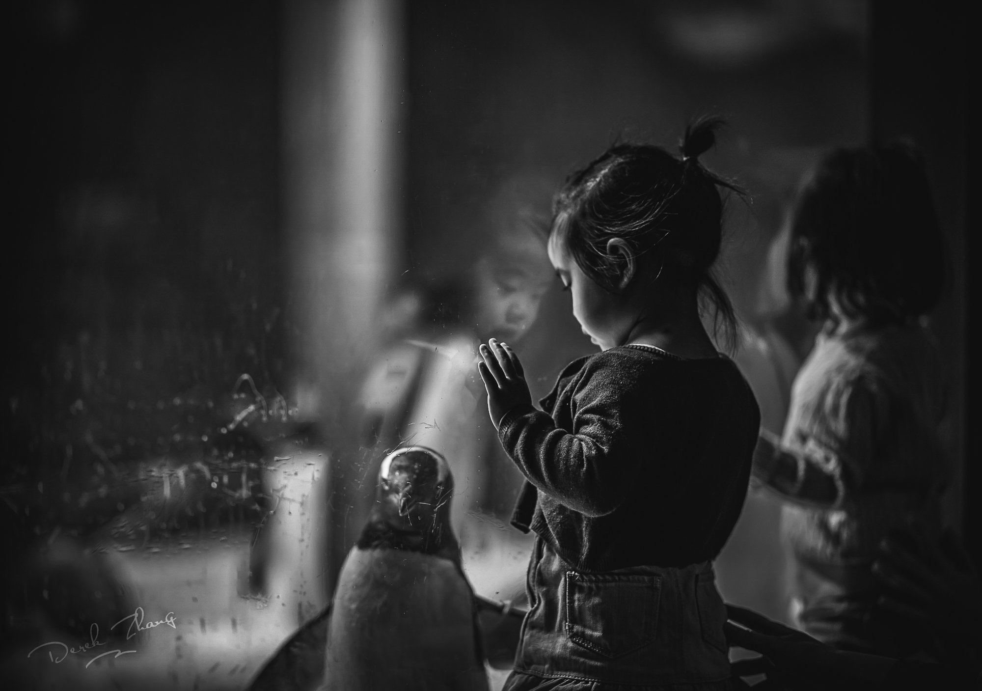 kid, child, girl, animal, penguin, glass, mirror, watching, Derek Zhang