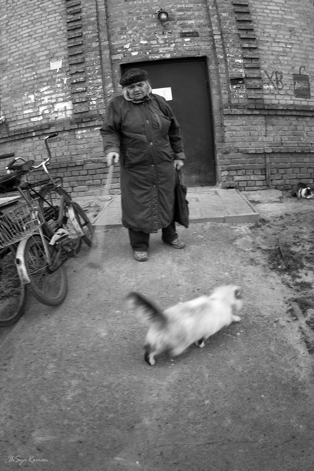 женщина, кошка, улица, подъезд, Roma Krasov ( Chitinskiy )