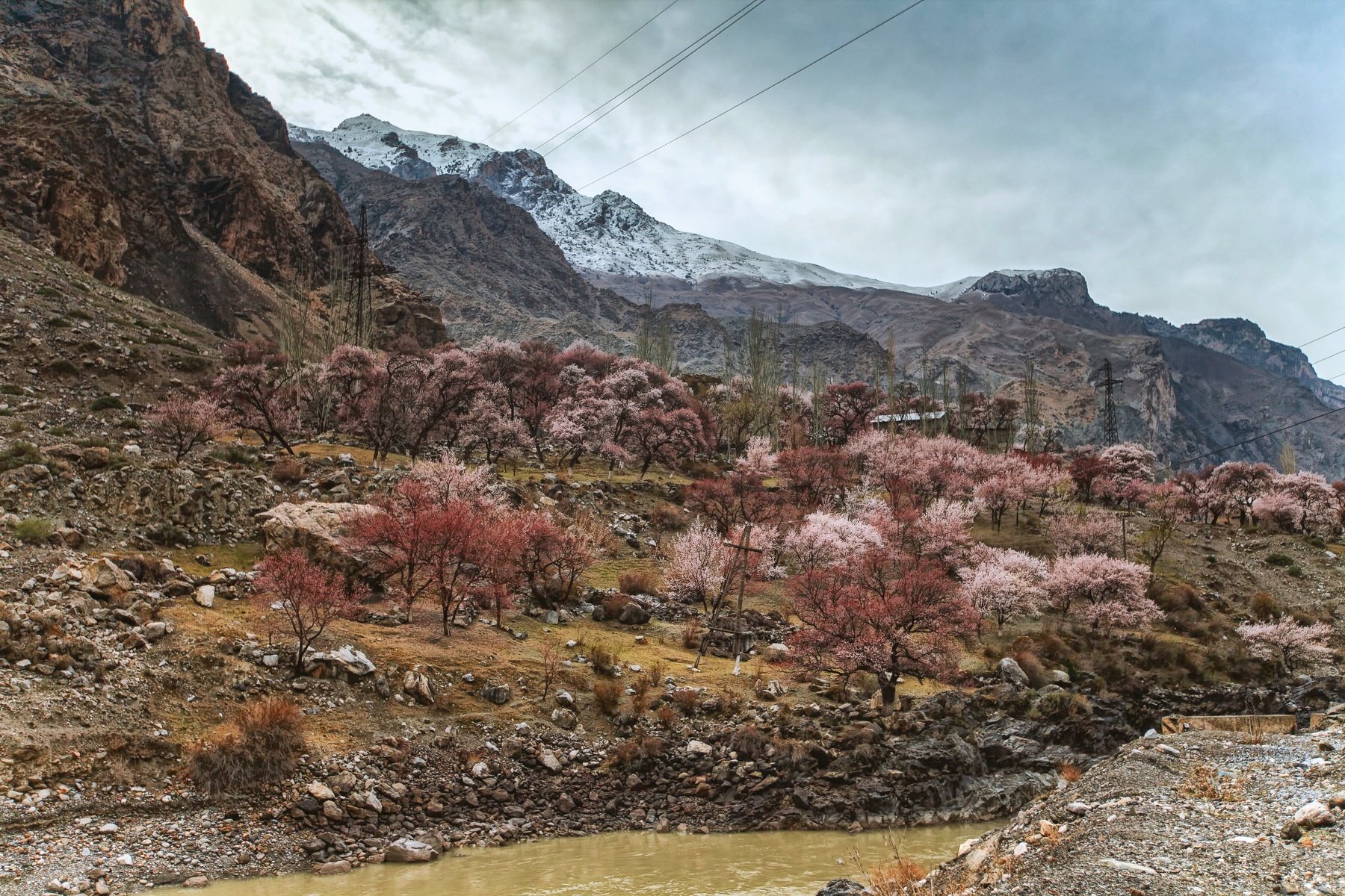 таджикистан горы весной