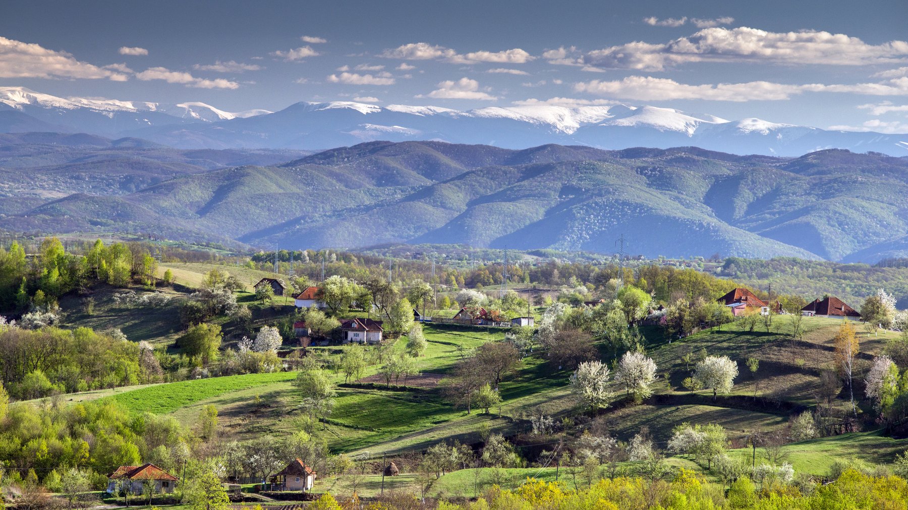 spring,colors,nature,land,transylvania,mountains,flowers,, Marius Turc