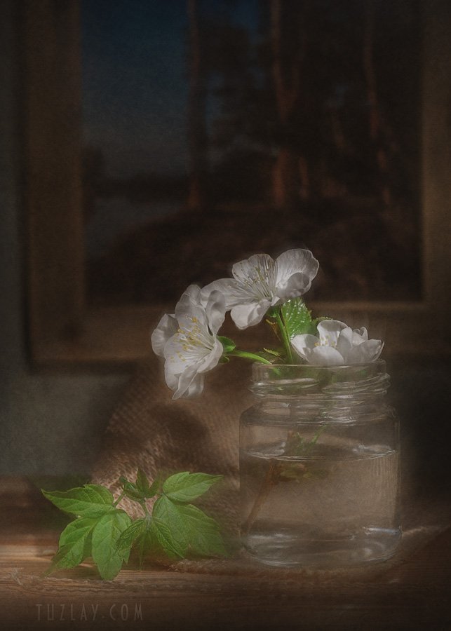 весна, белые цветки, Владимир Тузлай