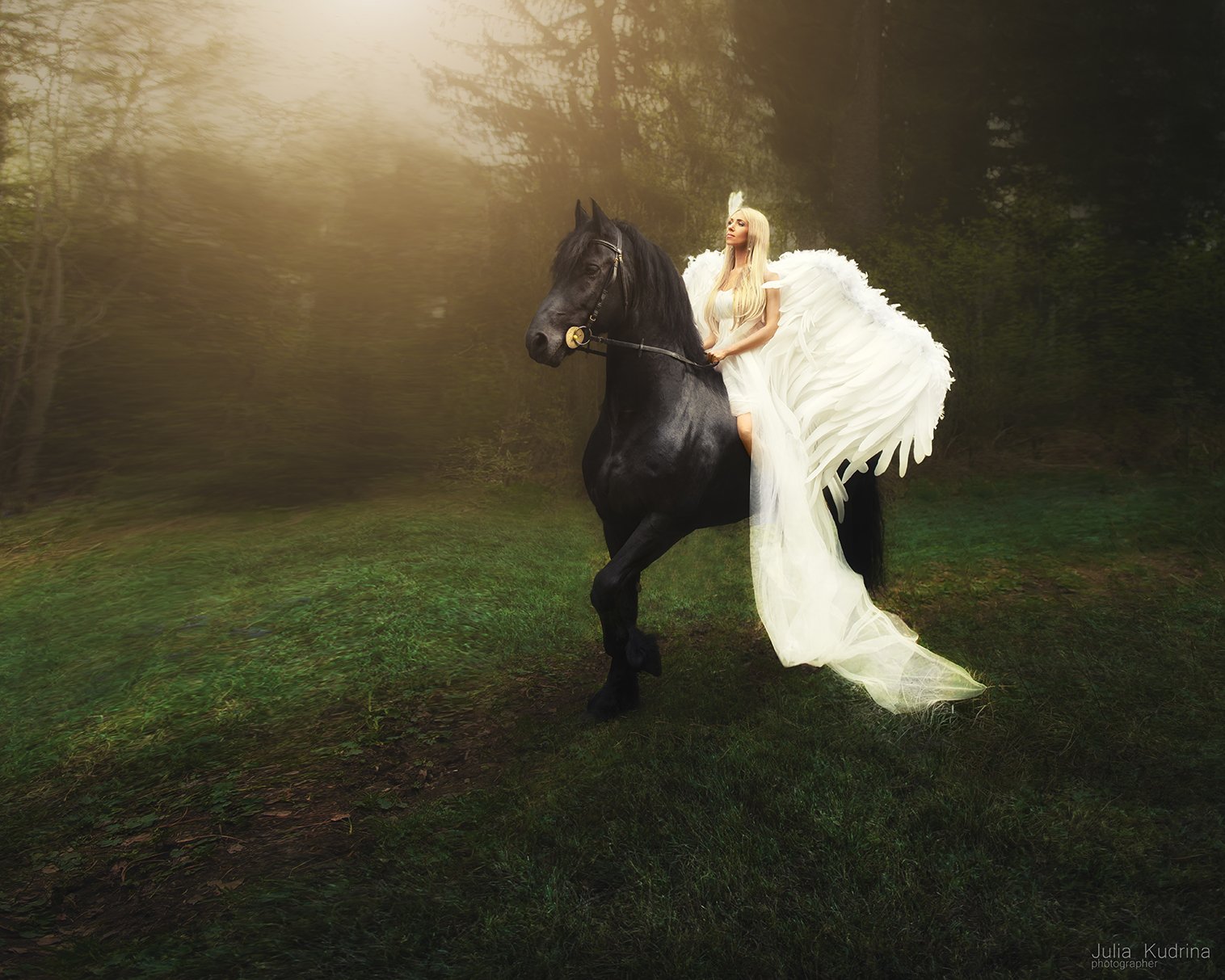 ангел фриз фризская лошадь лошадь, Юлия Кудрина
