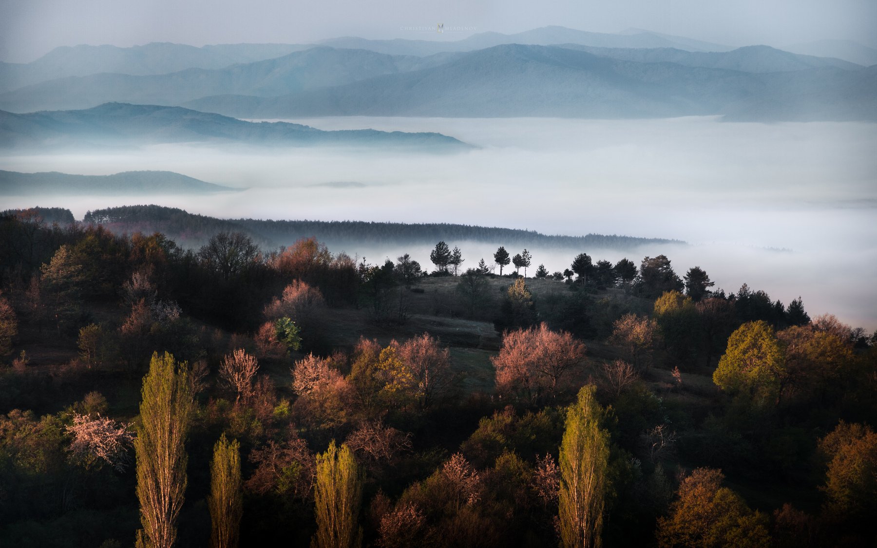 landscape, mist, fog, rain, sunrise, pirin, bulgaria, mountain, spring, light, haze, panorama, trees, forrest, hills, Кристиян Младенов