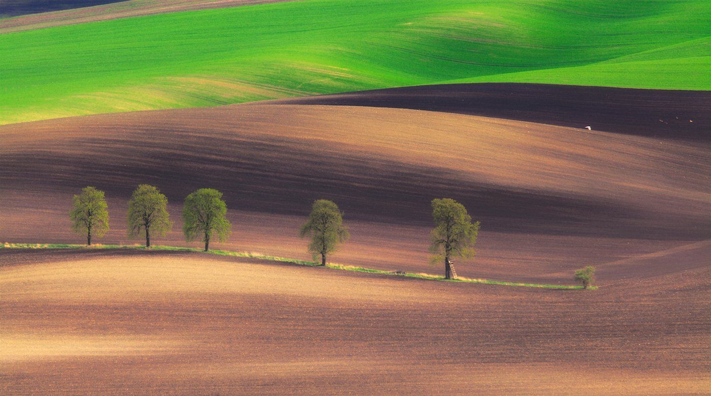 moravia, spring, april, Маргарита Чернилова