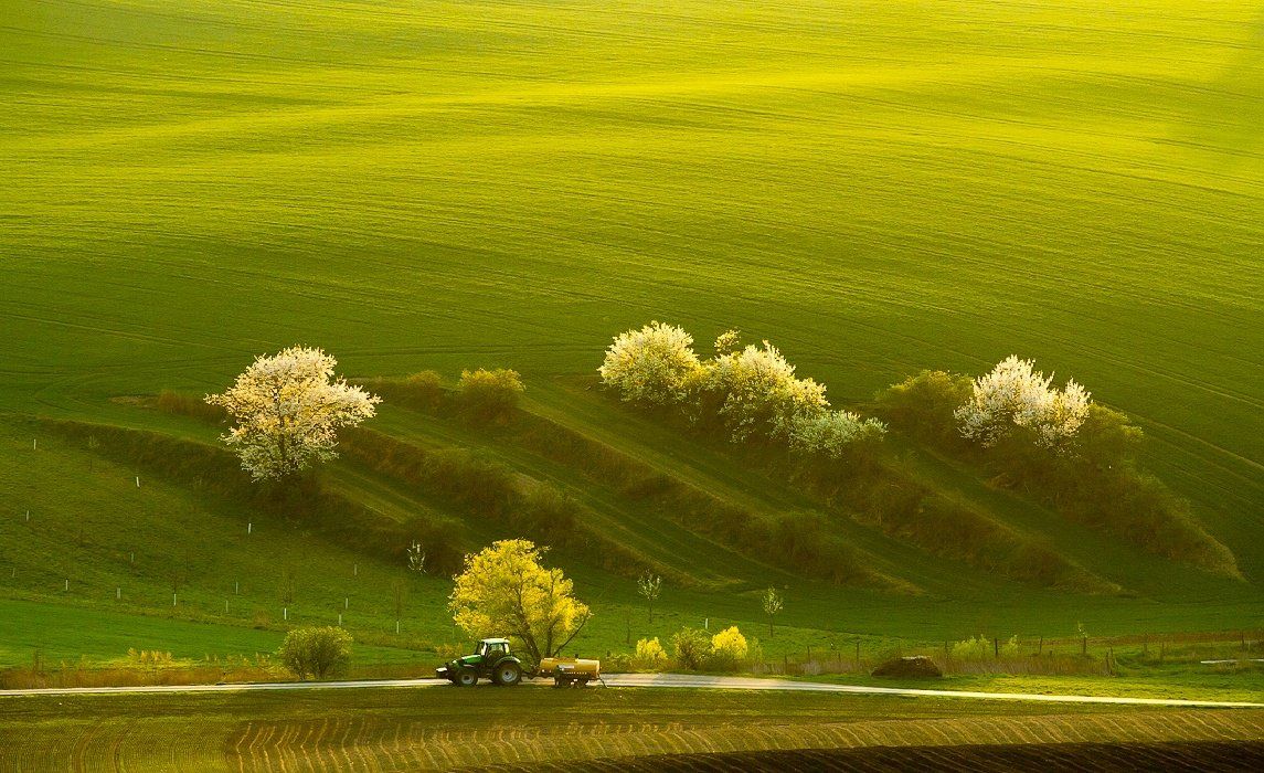 spring, tractor, field, landscape, green, František Uhler