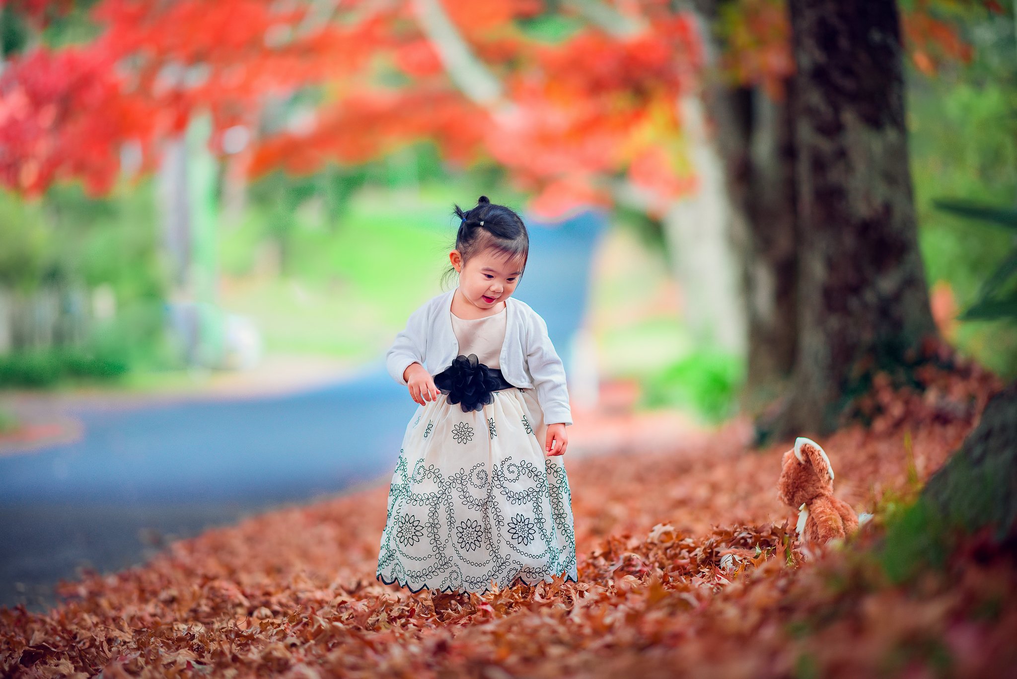 girl, child, red, kid, autumn, leaves, colours, blackheath, Derek Zhang