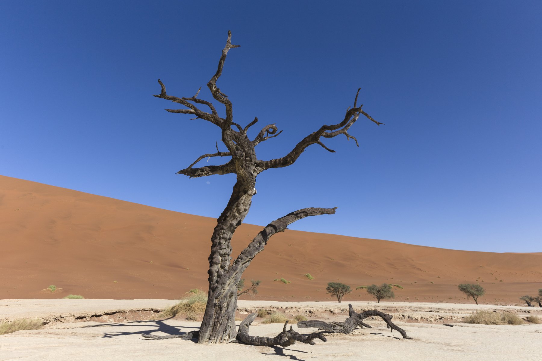 aerial, sossusvlei, desert, namib, namibia, landscape, african, nature, dunes, view, beautiful, wilderness, park, travel, national, orange, naukluft, scenic, sand, road, scenery, africa, flight, arid, red, Гайдабуров Сергей