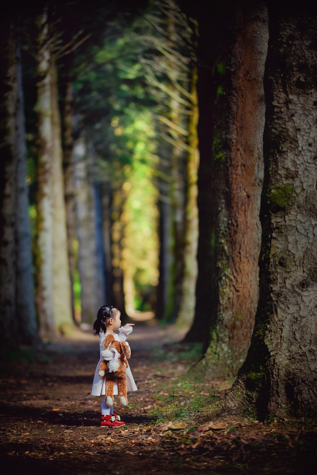 kid, child, girl, pine tree, trees, breenhold garden, celine, face, discovery, autumn, Derek Zhang