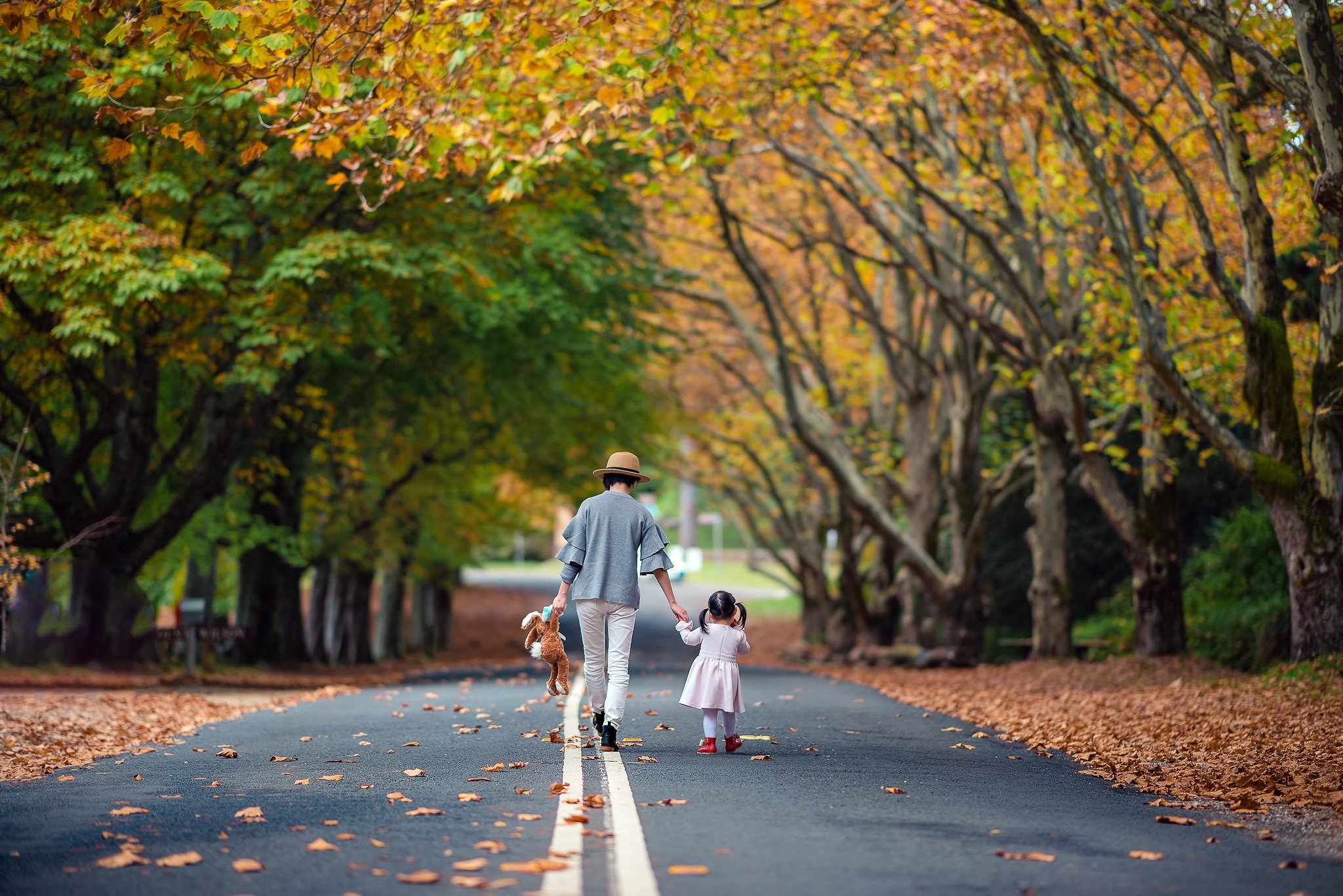 kid, girl, child, autumn, leaves, road, colours, family, together, Derek Zhang