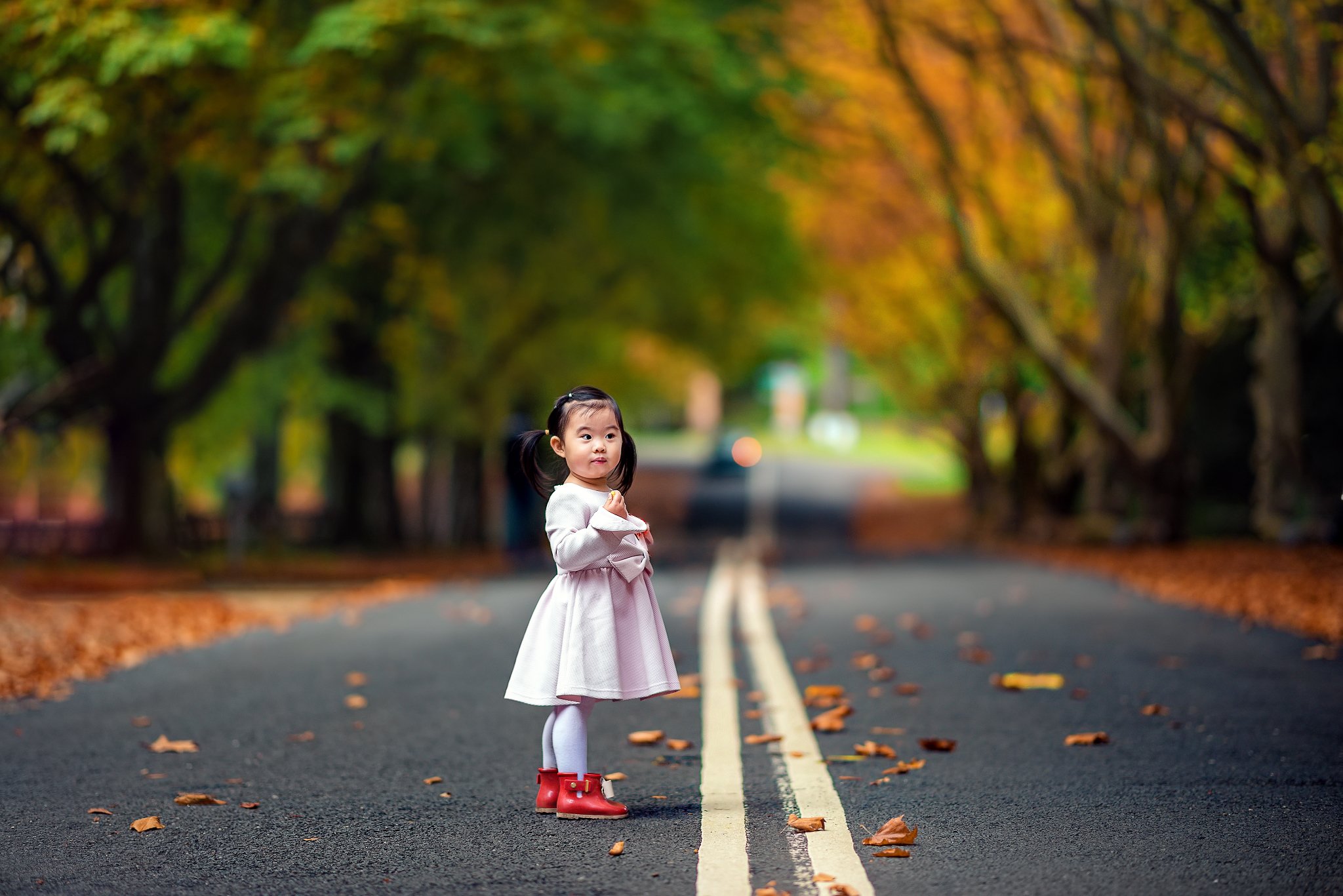 kid, child, girl, face, autumn, road, leaves, cute, together                                                                                                                                                                                                   , Derek Zhang