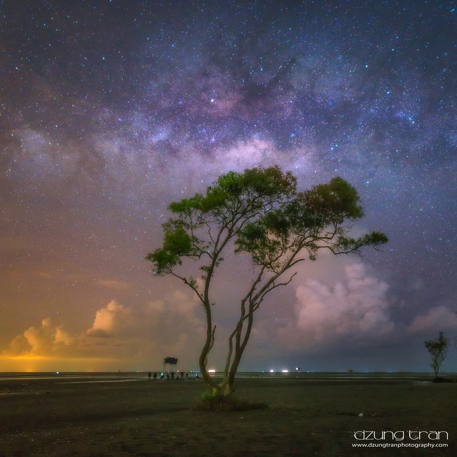 lonely,tree,milkyway,go cong,viet nam, Tran Minh Dung