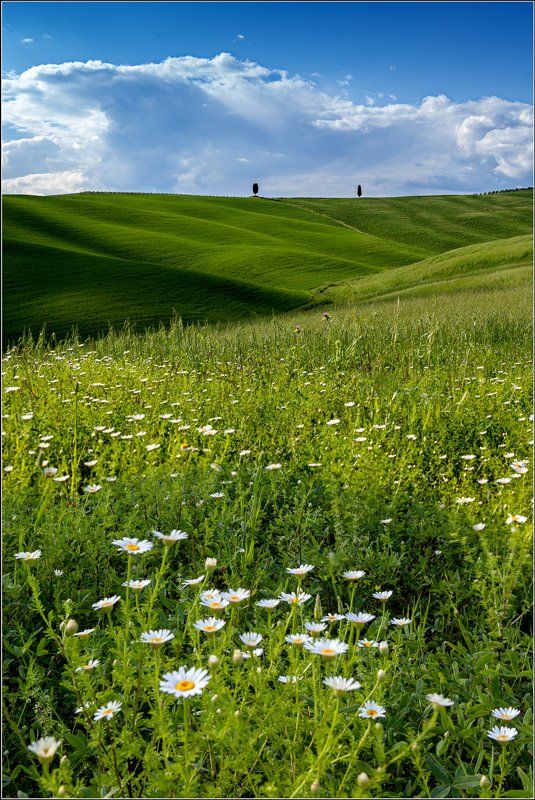 italy, tuscany, landscape, Igor Sokolovsky