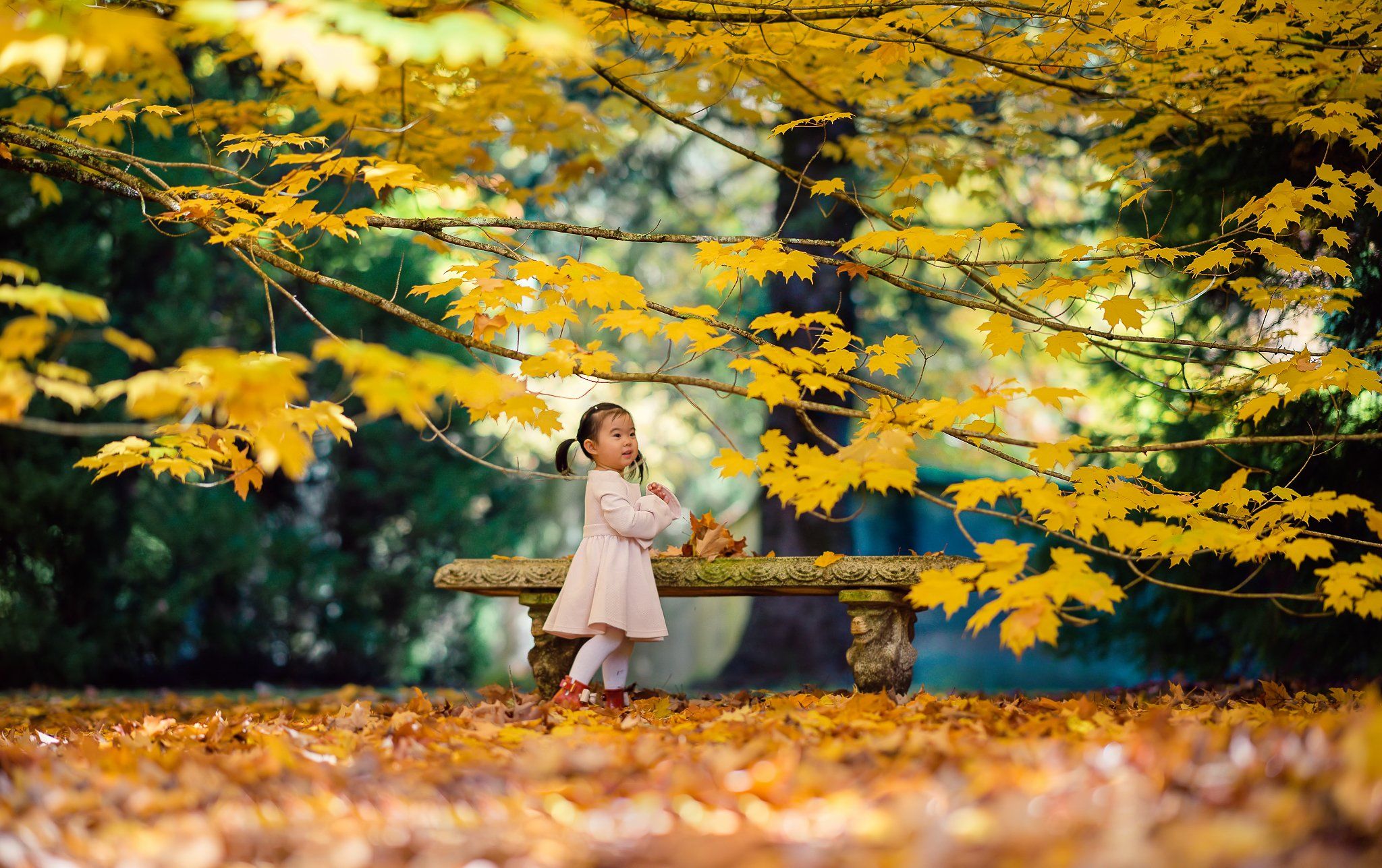 kid, child, girl, breenhold garden, face, autumn, leaf, leaves                                                                                                                                                                                                 , Derek Zhang