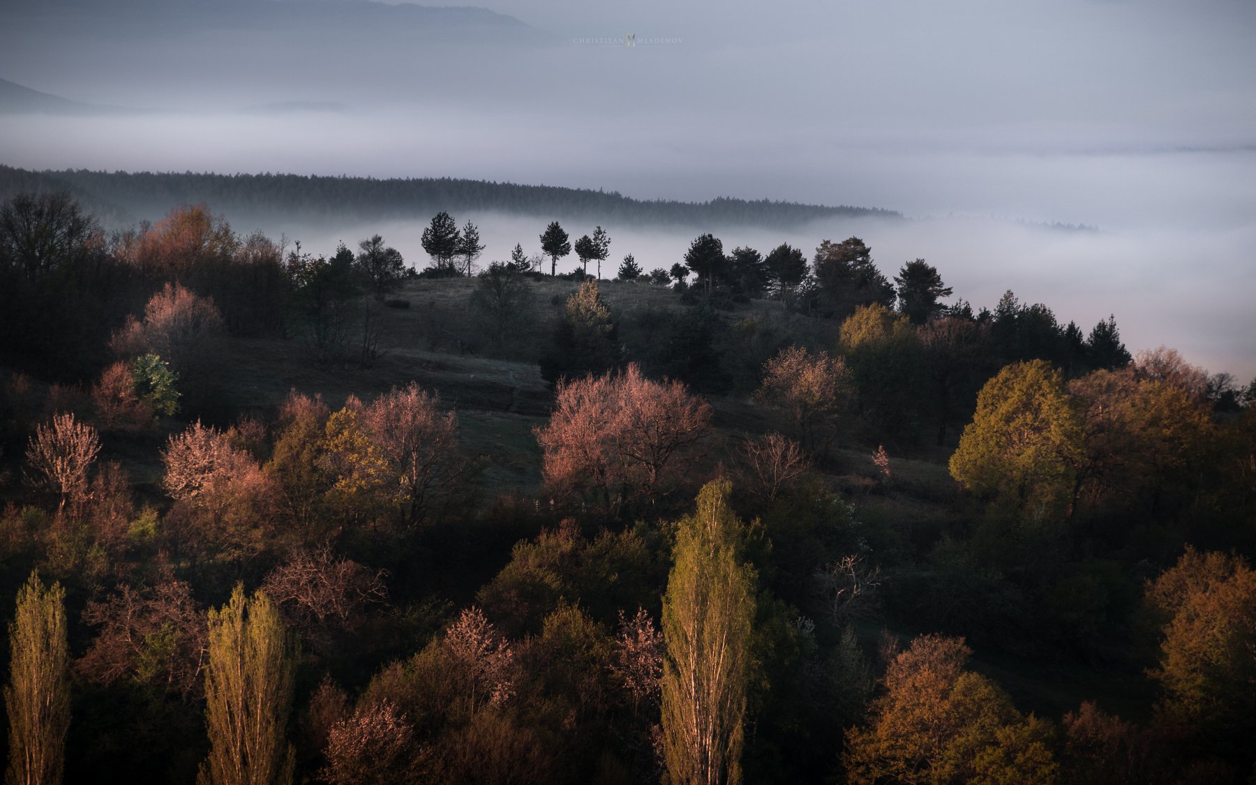 landscape, mist, fog, rain, sunrise, pirin, bulgaria, mountain, spring, light, haze, panorama, trees, forrest, hills, Кристиян Младенов