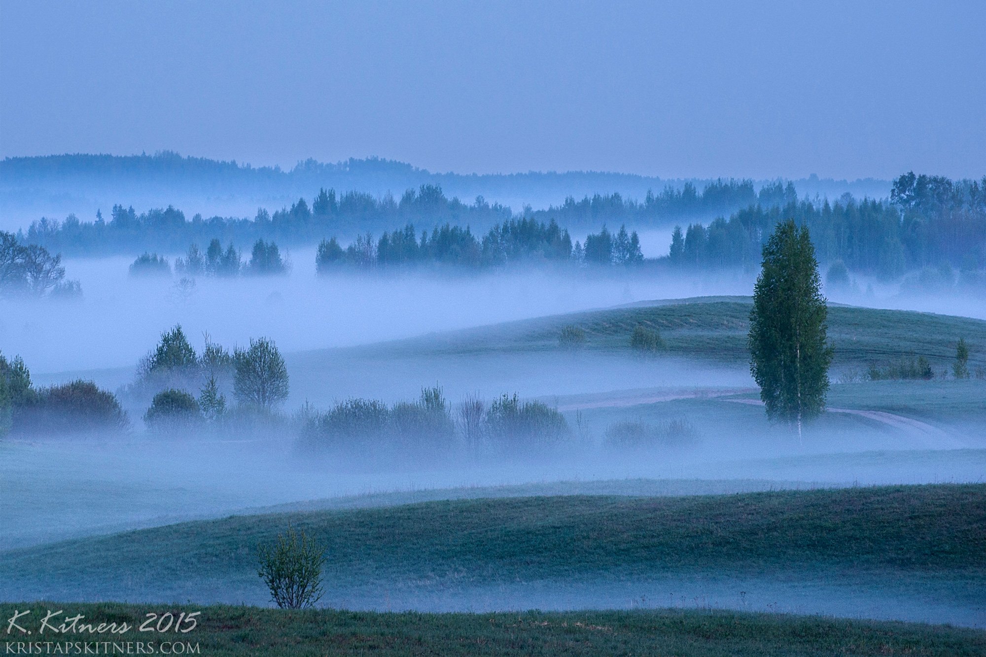 fog tree forest sky evening hill field grass latvia summer, Kristaps Kitners