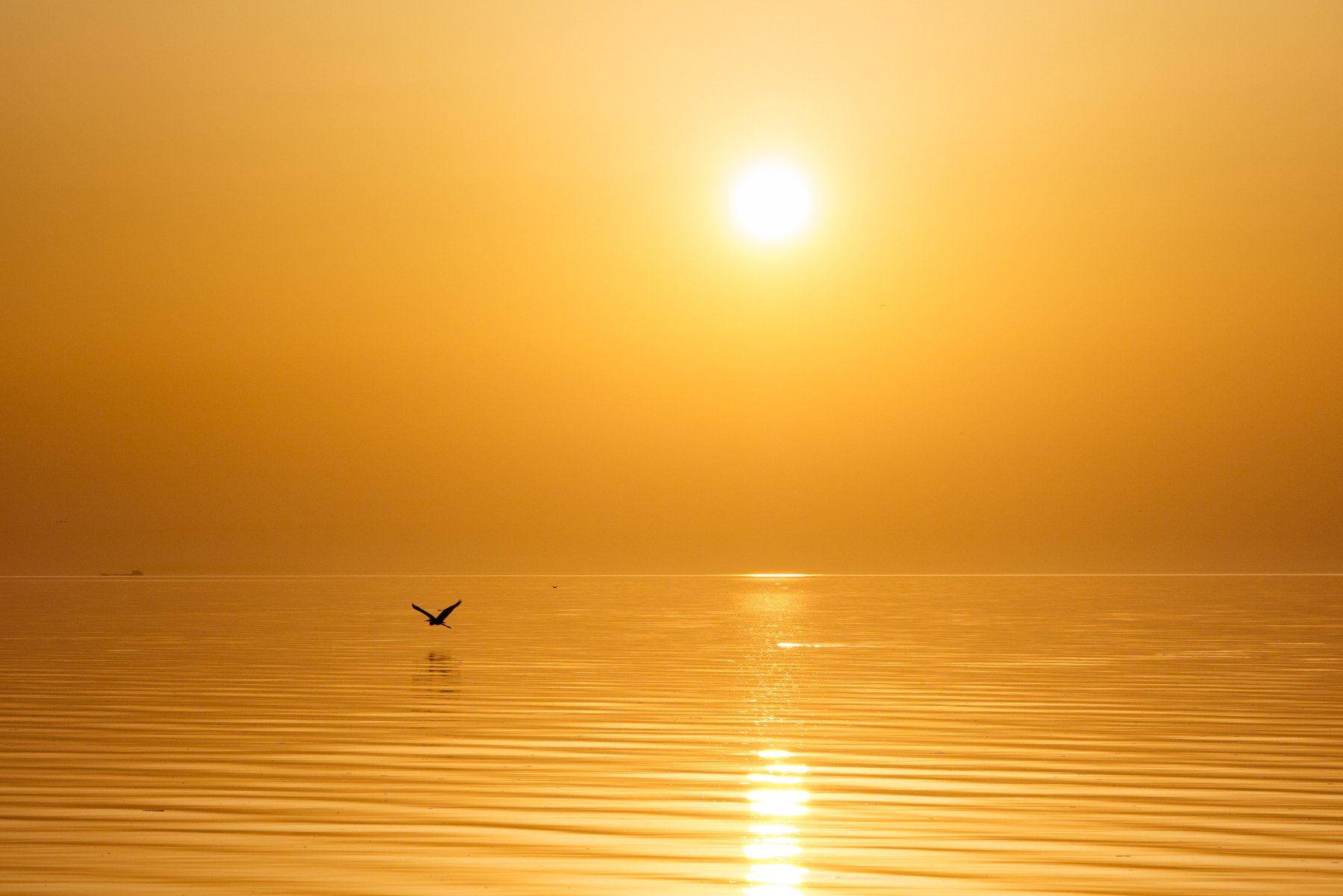 Gold sunset. Золотой закат. Золотой закат на море. Отражение солнца в воде. Желтое. Солнце. И. море.