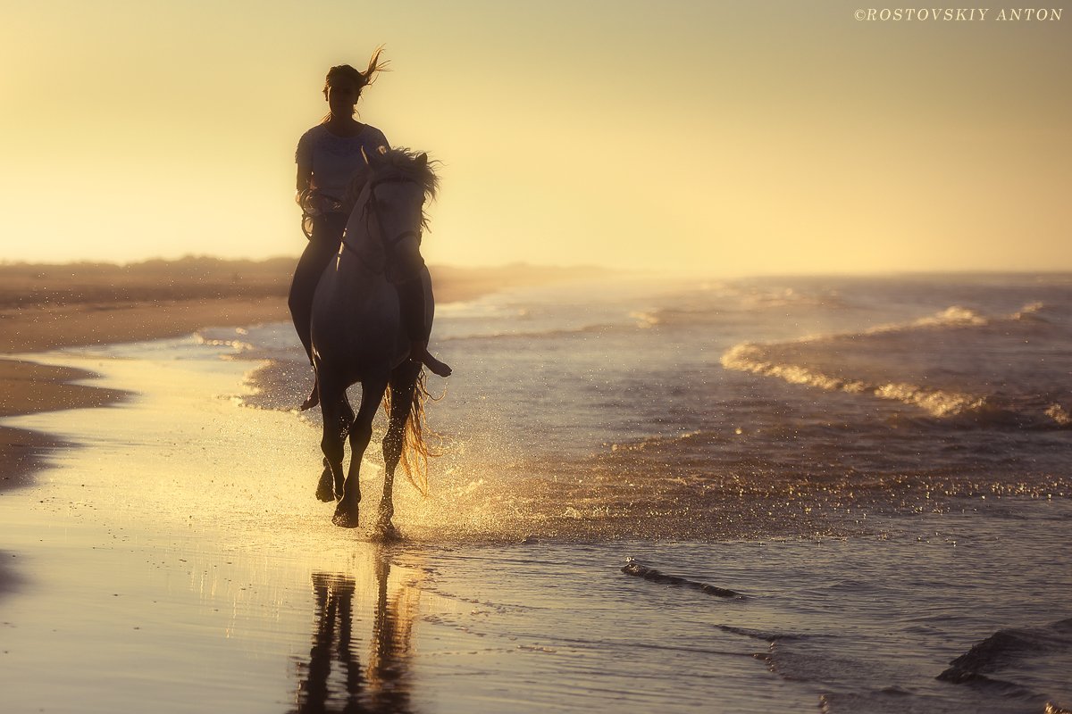 Camargue,France,камарг, утро,фототур, Франция, Антон Ростовский