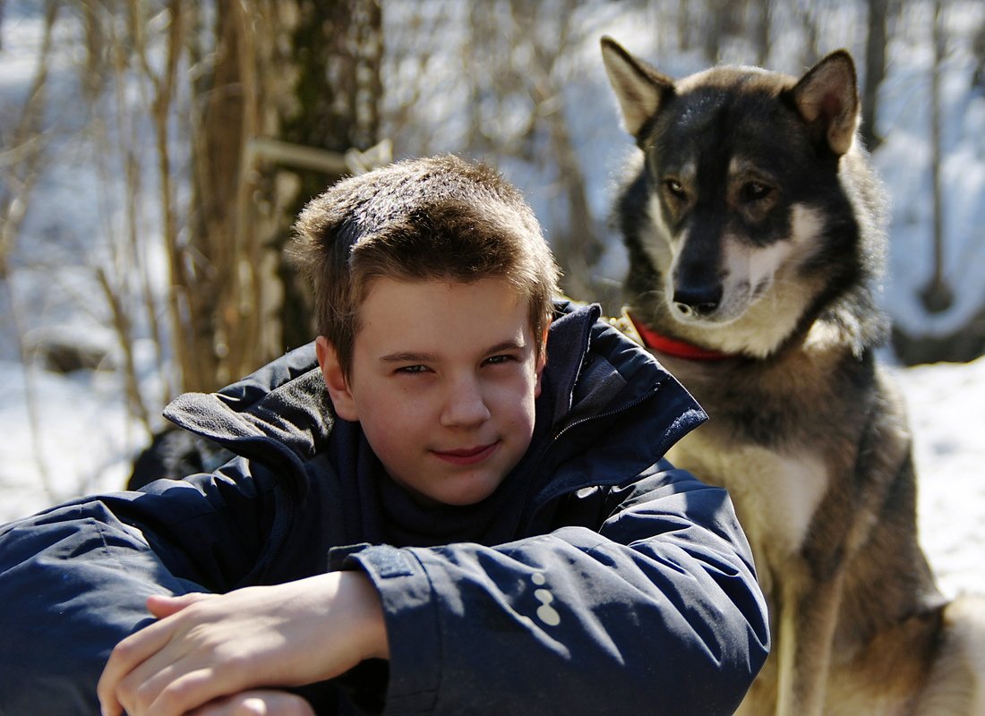мальчик, собака, взгляд, Максим Рогозин