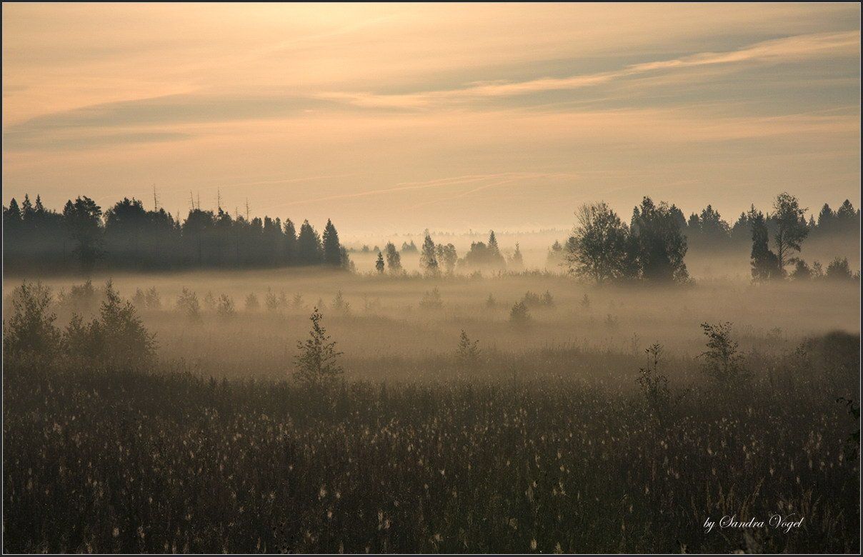 morning, fog, утро, туман, тверская, область, dark-angel
