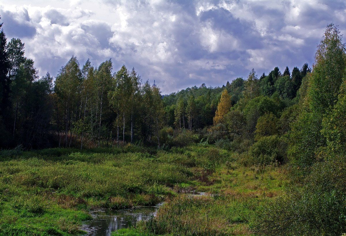 осень, лес, маленькая речка, Максим Рогозин