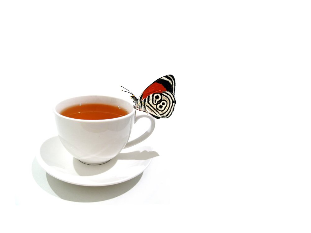чай, бабочка, белый, inflame
