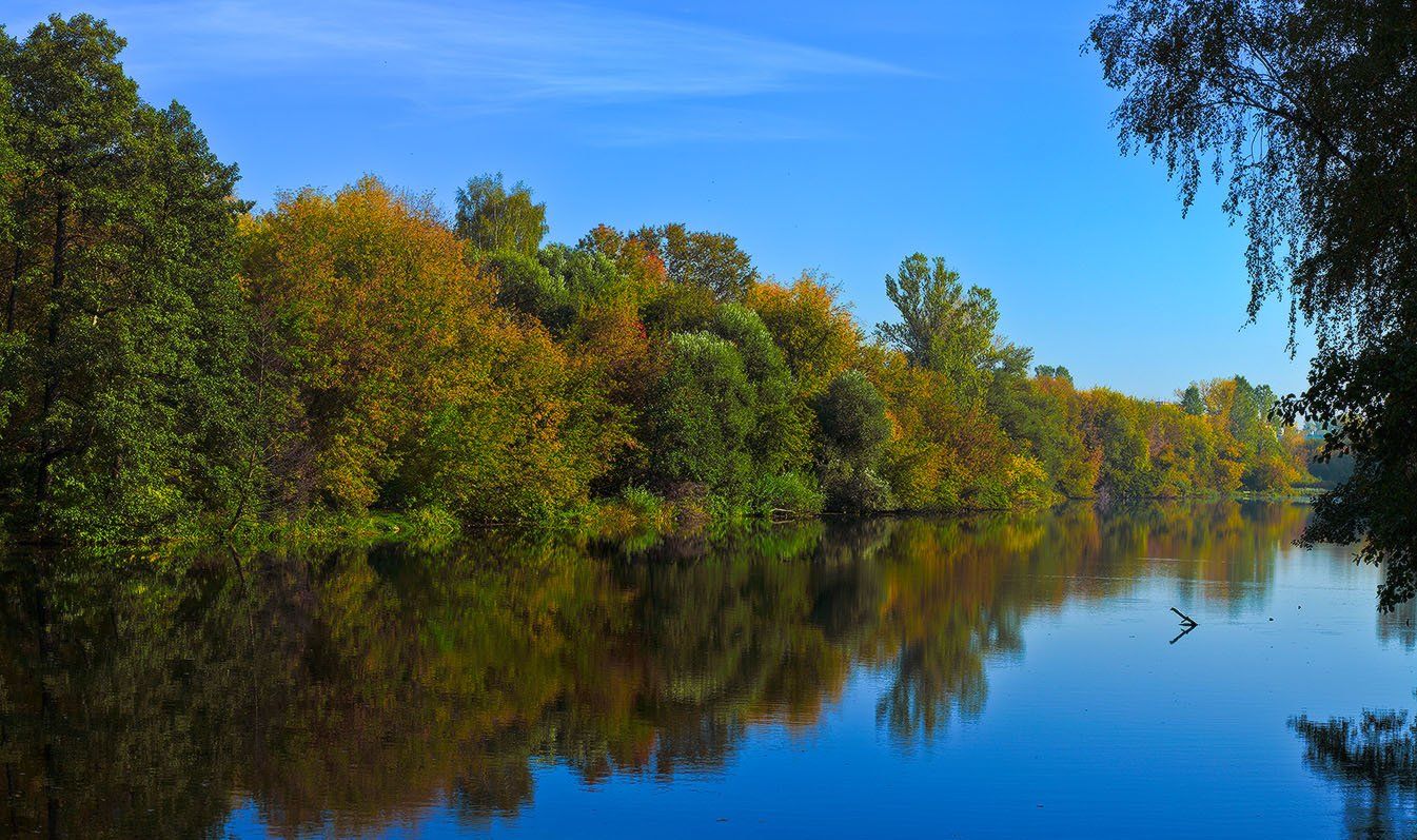 осень, пейзаж, речка, Роман Введенский