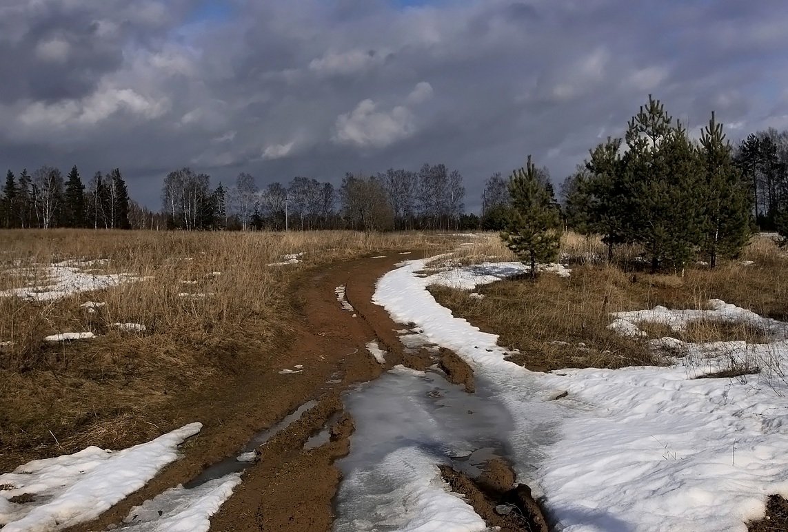 Начала весны среднем начало. Весенние пейзажи средней полосы России.