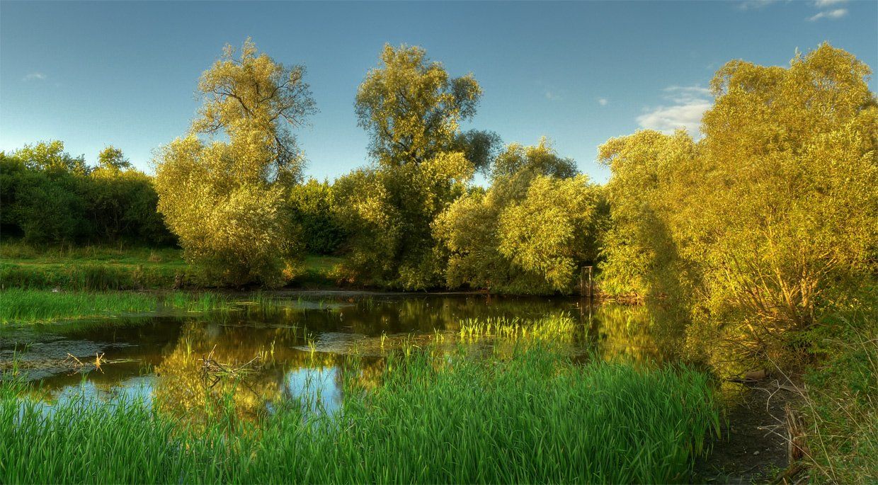 панорама, пейзаж, пруд, деревья, DAN