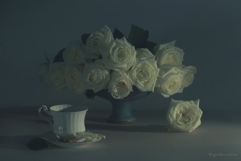 натюрморт, фото, белые, розы, Ольга Горелова
